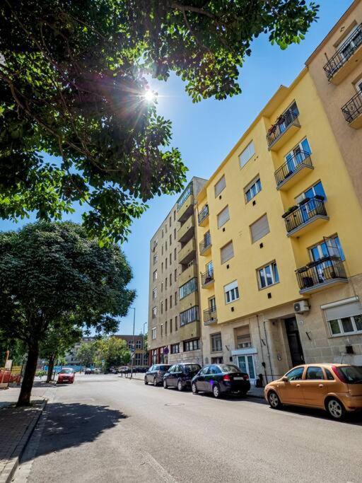 布达佩斯Vidra-Lak With Private Parking公寓 外观 照片